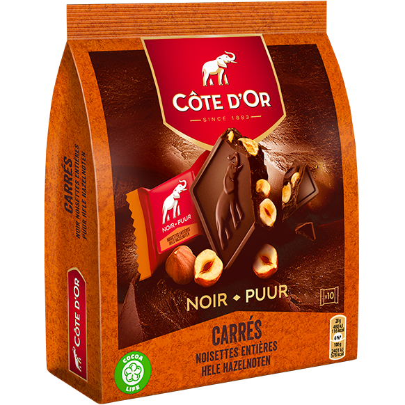Cote D’Or Carres De Chocolat Noir Et Noisette 10 Pack