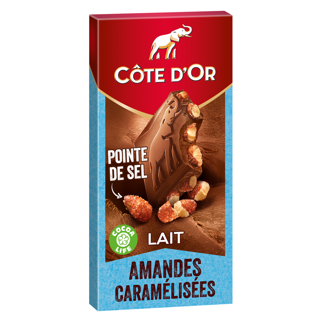 Cote D’Or Chocolat au Lait Amandes Caramelisees et Pointe de Sel 200g - 7oz